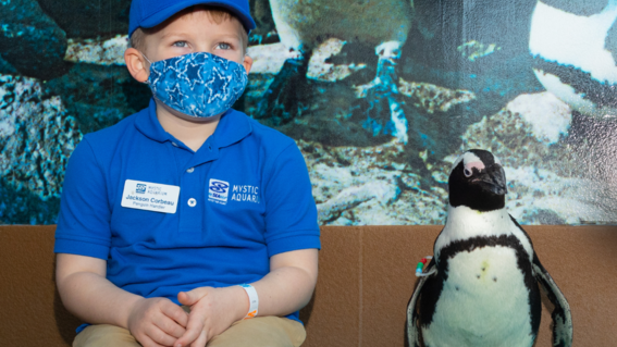 Jackson's Wish to be a Penguin Handler