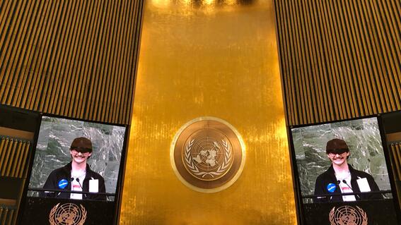 Kale on big screens UN