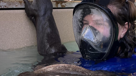 Ava with otters