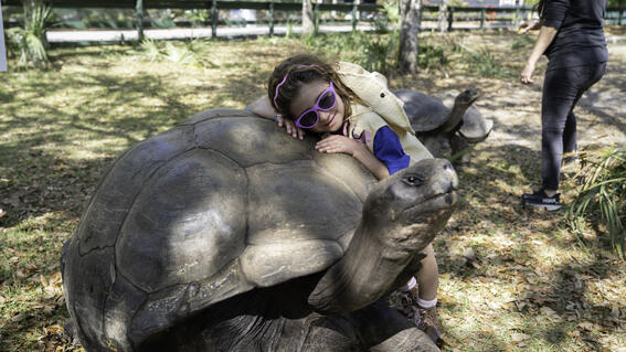 Gemma Walks on the Wild Side