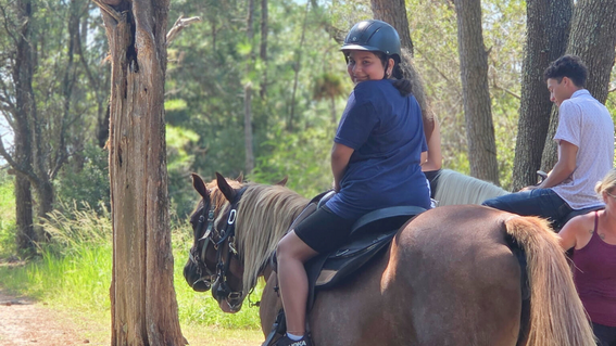 Adasyn and Horse