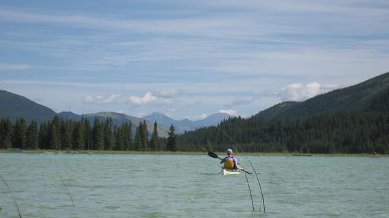 Lenka Kayaking 