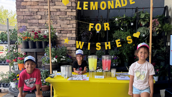 Lemonade for wishes 