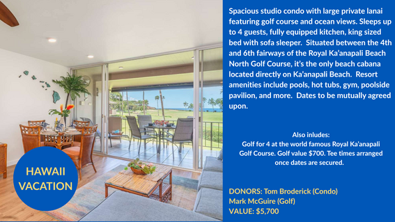 Hawaii_Auction_Item