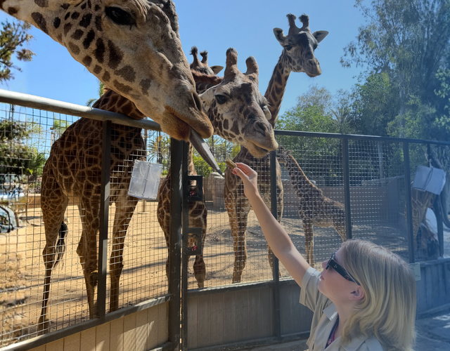 Kendall's wish to go to the San Diego Zoo