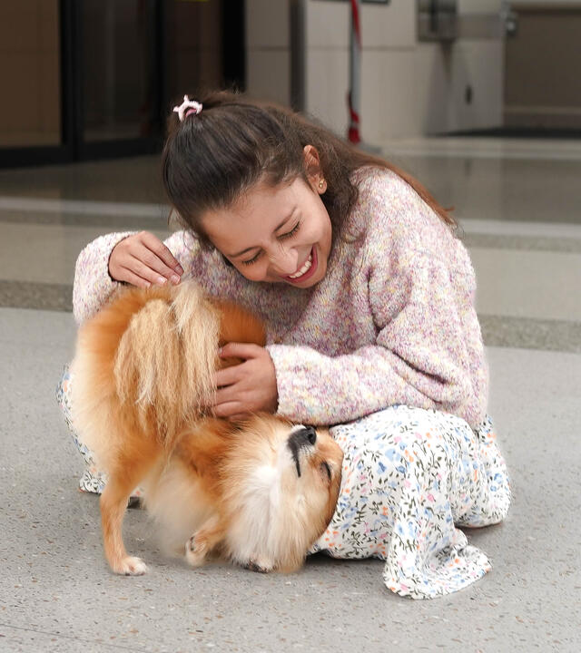 Victoria's wish to bring her dog from Colombia