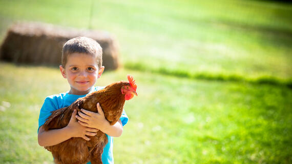 Wish kid Sawyer and Chicken