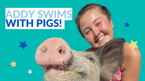 Addy's wish YouTube thumbnail