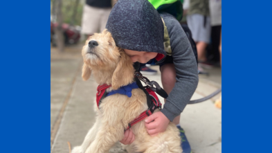 puppy hug
