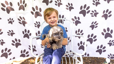 Vaughn puppy - Greater LA