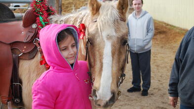 Addison_Horse_Wish