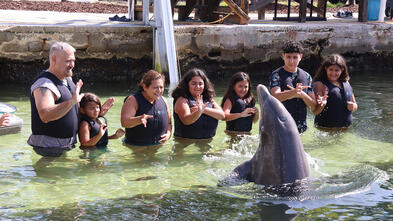 Beatriz's wish to swim with the dolphins