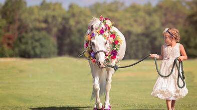 Unicorn Wish