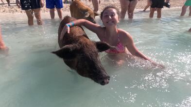 Addison swimming with pigs