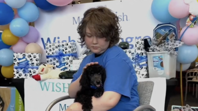 Scarlett's wish for a puppy comes true!