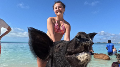 Pigs, Paradise, and a Whole Lot of Joy: Addison’s Wish Journey