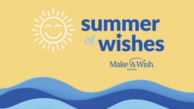 Help Us Grant 100 Wishes in 100 Days