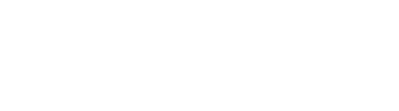 Make-A-Wish Logo