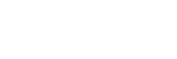 Make-A-Wish Logo