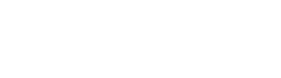 Make-A-Wish Logo