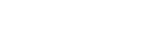 Make-A-Wish Logo