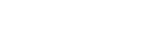 Make-A-Wish Logo