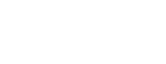 Make-A-Wish Logo