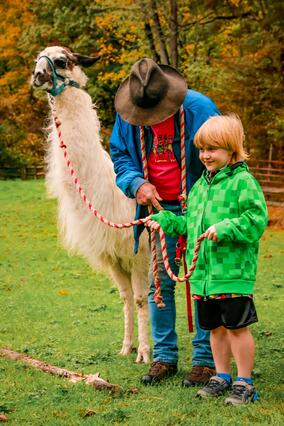 Sebastian meets Mr. Silver, the llama