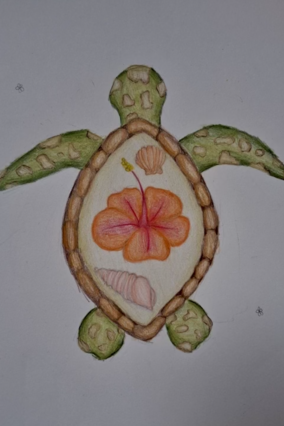 Samantha's turtle doodle.