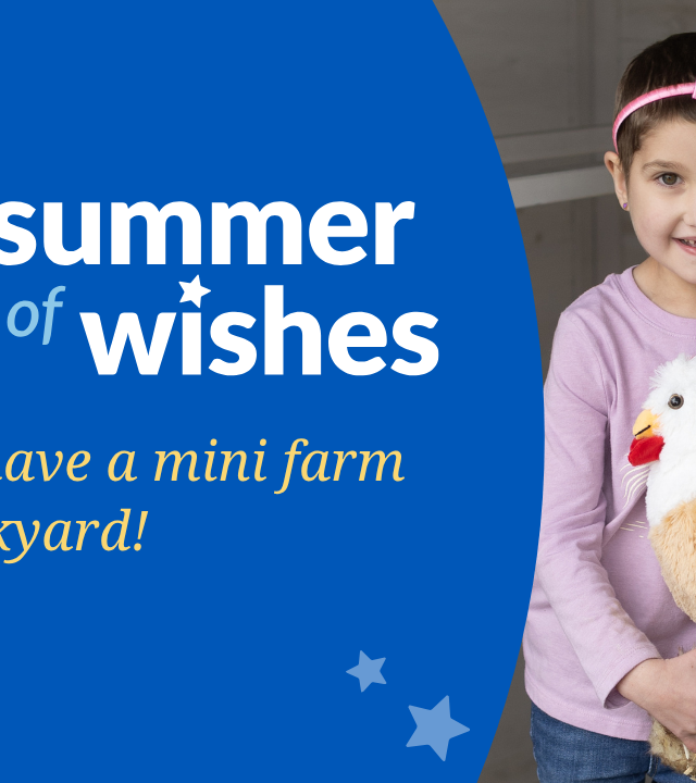 summer of wishes tile